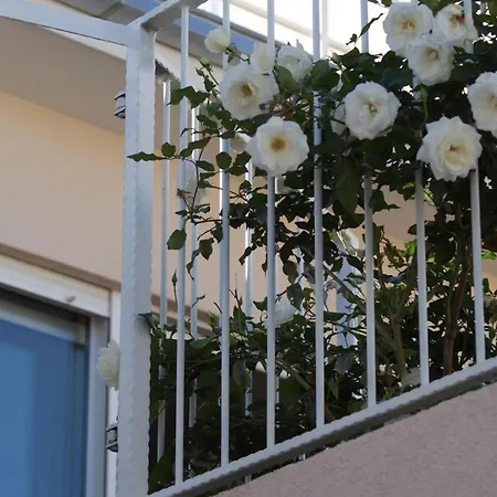 Erdgeschosswohnung Mit Terrasse Und Meerblick Apartament Trogir